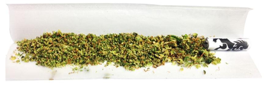 Come Rollare Una Canna Senza Cartine